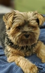 Fits 99-05 BMW E46 3-Series Sedan AC Style Roof Spoiler Painted #668 Jet Black - Image 23